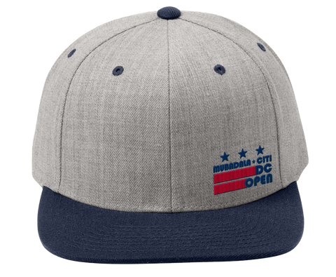 DC Flag Logo Snapback - Grey/Navy